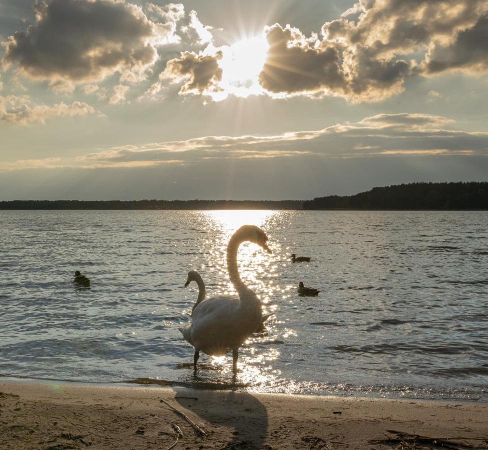 Apartament Augustow Swan Exteriör bild